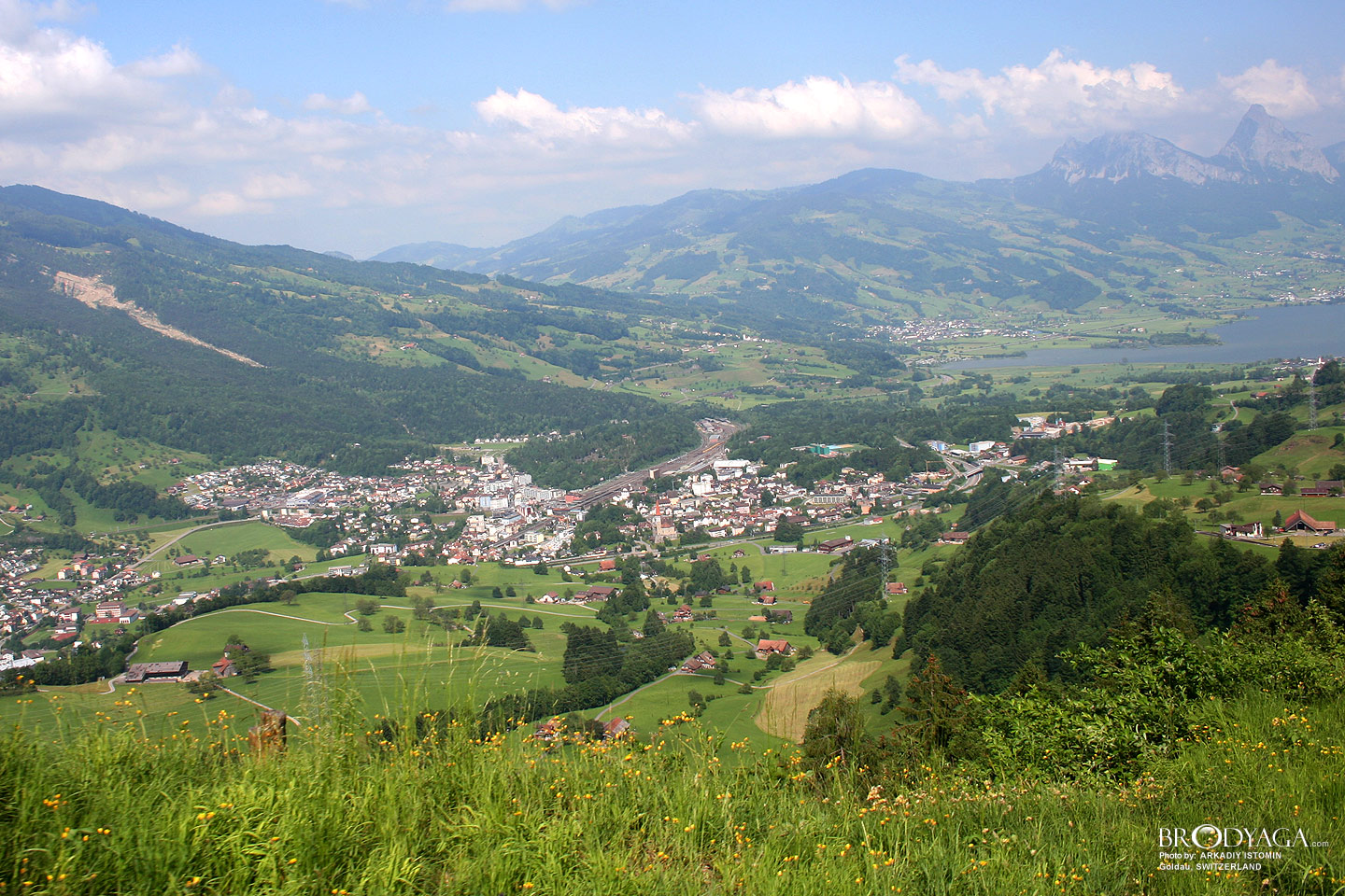 Goldau